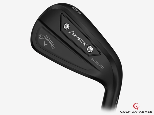 キャロウェイ APEX Ai300 BLACK アイアン 2025 (日本仕様)