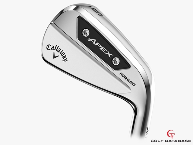 キャロウェイ APEX Ai150 アイアン 2025 (日本仕様)